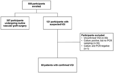 Increased Pathogen Identification in Vascular Graft Infections by the Combined Use of Tissue Cultures and 16S rRNA Gene Polymerase Chain Reaction